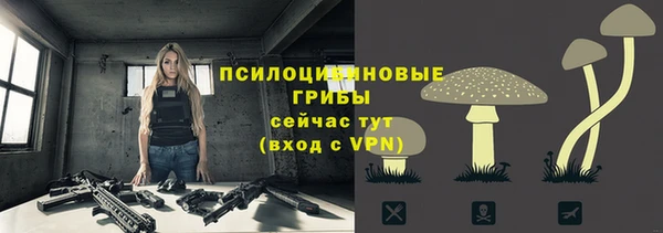ALPHA PVP Осинники