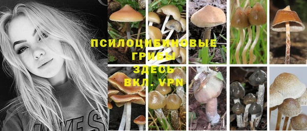 твердый Нязепетровск