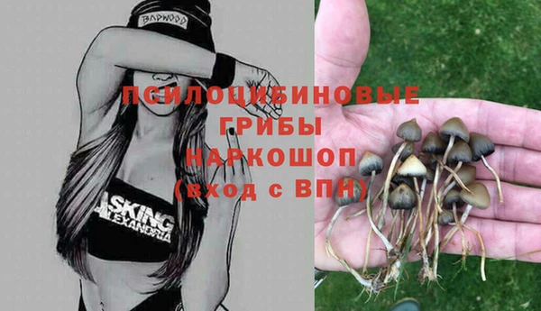 а пвп мука Няндома